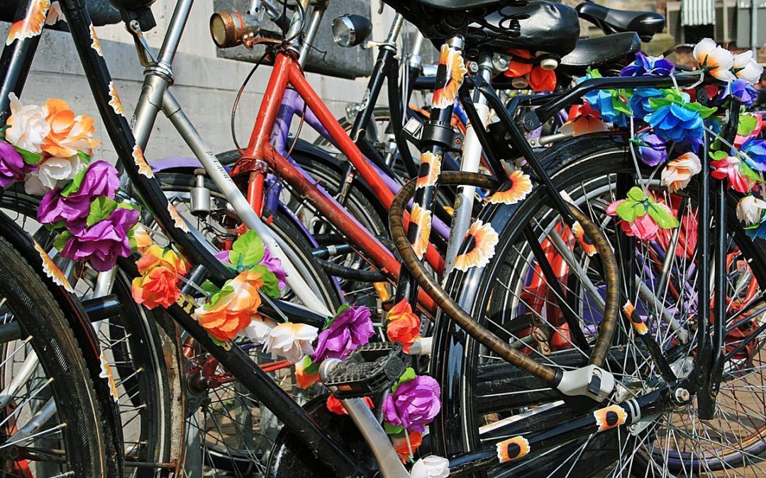 Meenemen weesfiets reden voor ontslag
